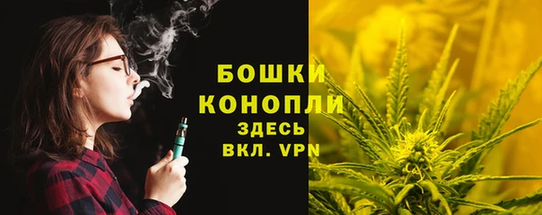 стаф Новозыбков