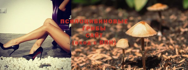 эйфоретик Нефтегорск