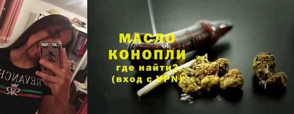 стаф Новозыбков