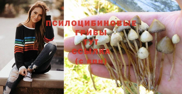прущая мука Волоколамск