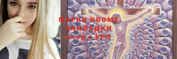 стаф Новозыбков
