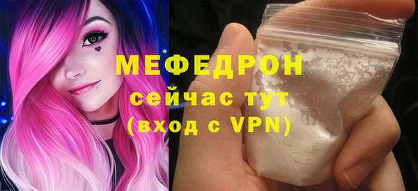МДПВ Нея