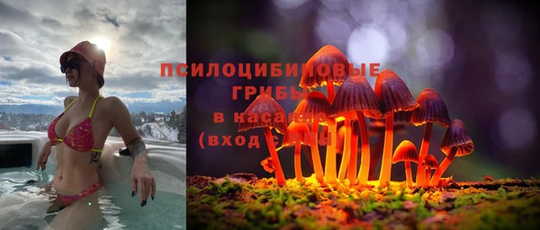 амфетамин Новодвинск