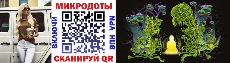 дарнет шоп  Нытва  Псилоцибиновые грибы Psilocybine cubensis 